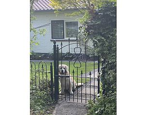 Guest house 6202197 - Holiday property Walcheren - 12084