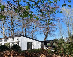 Schapen grazen in de weide rondom Huisje in Oostkapelle, Zeeland.