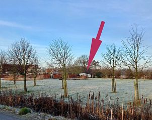 Terras met tuin bij Huisje in Oostkapelle, vakantiehuis in Zeeland.
