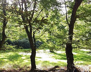 Natuurlijke omgeving van VZ848 Chalet Oostkapelle, Walcheren, Zeeland.