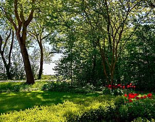 Lommerrijke tuin bij VZ118 Appartement Oostkapelle, Walcheren, een oase van rust en natuur.