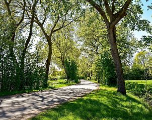 Schaduwrijke laan nabij VZ118 Appartement Oostkapelle, ideaal voor een ontspannen wandeling in Zeeland.