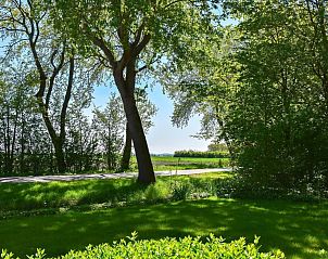 Groene omgeving bij VZ118 Appartement Oostkapelle, perfect voor natuurliefhebbers die Zeeland bezoeken.