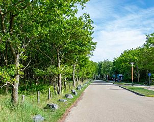 Road with green trees near vacation home ZE1402 in Oostkapelle, Walcheren, Zeeland.