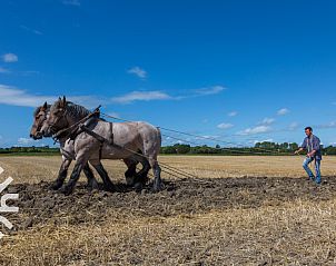Slaapkamer met uitzicht op de tuin in vakantiehuis ZE228, Oostkapelle, Zeeland.