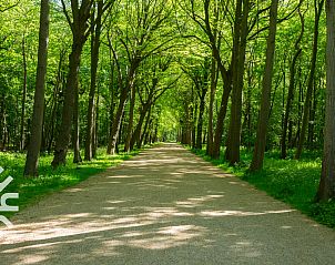 Guest house 620296 - Holiday property Walcheren - ZE1513