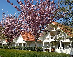 VZ982 Vrijstaand vakantiehuis in Oostkapelle met bloeiende kersenbomen, Walcheren, Zeeland.