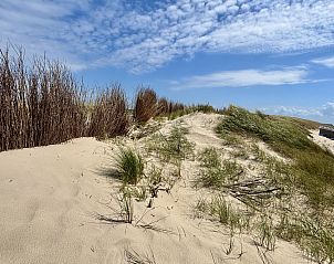 Guest house 620309 - Apartment Walcheren - Appartement Gem�tliche Ferienwohnung Westkapelle mit Terras