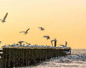 Guest house 620311 - Holiday property Walcheren - ZE731