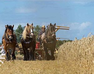 Guest house 620311 - Holiday property Walcheren - ZE731