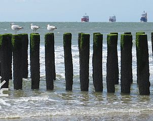 Breathtaking views of the coast at ZE926 in Westkapelle, Zeeland.