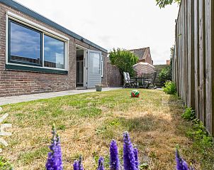 Dekorative Gartenkatze im Ferienhaus ZE361, Westkapelle, Walcheren, Zeeland.