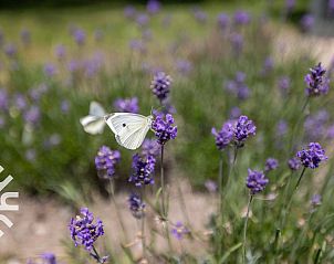 Cozy terrace at vacation home ZE263 in Westkapelle, Walcheren with comfortable seating.