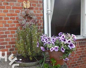 Guest house 6204185 - Holiday property Walcheren - ZE160