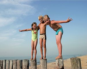 Guest house 6204187 - Chalet Walcheren - Vakantiepark Hof Domburg 22