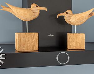 Guest house 620418 - Holiday property Walcheren - ZE1071