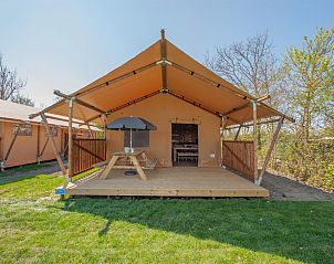 Unterkunft 6204201 - Zelthaus Walcheren - Safaritent 6