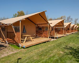 Unterkunft 6204201 - Zelthaus Walcheren - Safaritent 6