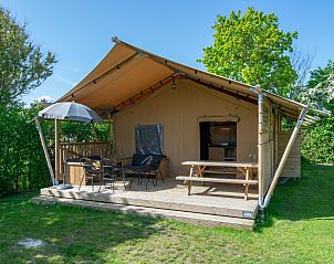 Unterkunft 6204203 - Zelthaus Walcheren - Safaritent 5K