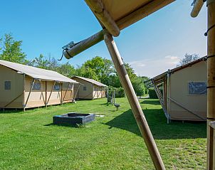 Unterkunft 6204203 - Zelthaus Walcheren - Safaritent 5K