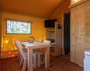 Unterkunft 6204204 - Zelthaus Walcheren - Safaritent 4B
