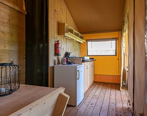 Unterkunft 6204204 - Zelthaus Walcheren - Safaritent 4B