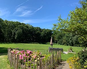 Bloementuin bij Vakantiehuisje in Domburg, Walcheren, omringd door groene natuur.