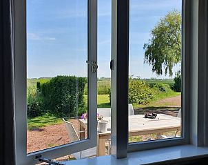 Uitzicht vanuit de eetkamer op tuin bij Vakantiehuisje in Domburg, Walcheren.