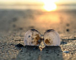 Guest house 620505 - Holiday property Walcheren - Westduin 4