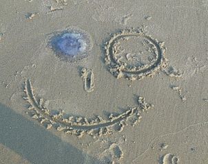 Guest house 620506 - Holiday property Walcheren - Vebenabos 43a