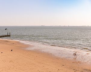 Guest house 6205101 - Holiday property Walcheren - Noordzee Resort Vlissingen 3