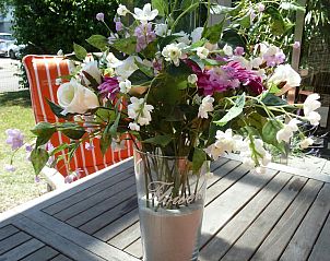 Guest house 620526 - Holiday property Walcheren - VZ1123 Vakantiewoning in Vlissingen