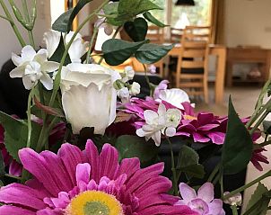 Guest house 620526 - Holiday property Walcheren - VZ1123 Vakantiewoning in Vlissingen