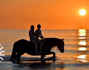 Groep ruiters aan zee nabij vakantiehuis ZE1445 in Aagtekerke, Walcheren.