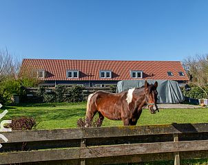 Stijlvolle badkamer met douche in vakantiehuis ZE1445 in Aagtekerke, Walcheren.