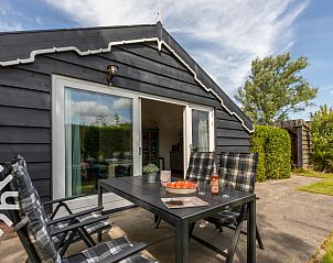 Vlinder op bloemen in de tuin van vakantiehuis ZE666 in Aagtekerke, Walcheren.