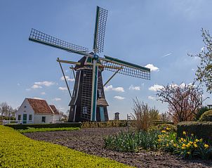 Verblijf 620612 - Vakantiewoning Walcheren - ZE1705