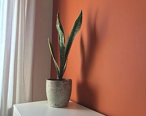 Verblijf 620612 - Vakantiewoning Walcheren - ZE1705