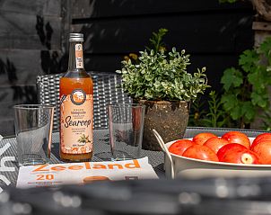 Luchtfoto van vakantiehuis ZE256 in Aagtekerke, Walcheren, Zeeland, omringd door natuur.