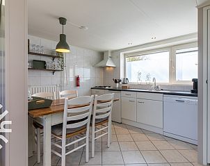 Paarden in de natuur nabij vakantiehuis ZE1387 in Aagtekerke, Walcheren, Zeeland.