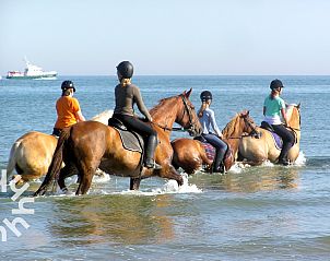 Paard en verzorger bij vakantiehuis ZE1446, Aagtekerke, Walcheren, in een landelijke setting.