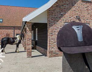 Romantisch paardrijden bij zonsondergang nabij ZE1448 vakantiehuis in Aagtekerke, Walcheren.