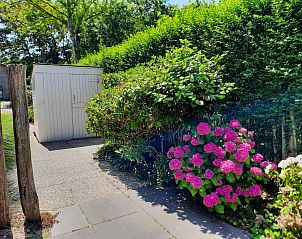 Guest house 620705 - Holiday property Walcheren - ZE267