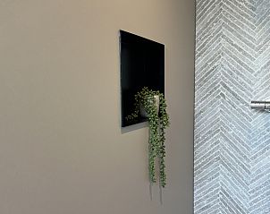 Verblijf 6207111 - Vakantiewoning Walcheren - ZE1702