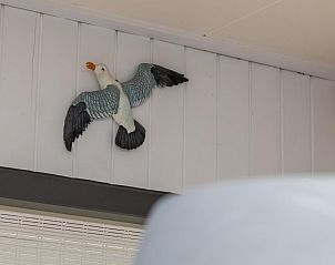 Verblijf 6207115 - Vakantiewoning Walcheren - Vakantiehuis Luminara