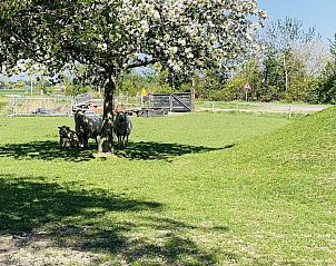 VZ178 Vakantiehuis Zoutelande in Zeeland, ideaal voor een ontspannen vakantie.