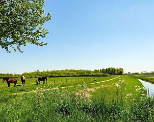 Natuurrijk uitzicht rondom VZ110 Vakantiehuis Zoutelande, Walcheren, Zeeland.