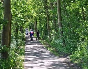 Verblijf 620713 - Vakantiewoning Walcheren - Vakantiehuis Das Spaier 3A