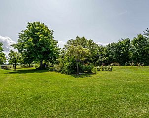 Groene oase rondom Vakantiehuisje in Zoutelande, Walcheren, perfect voor natuurliefhebbers.
