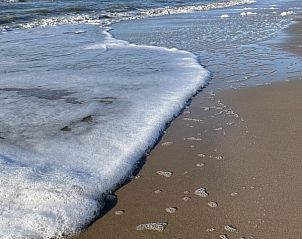 Guest house 620753 - Holiday property Walcheren - Vakantiewoning Stella Maris